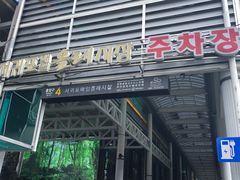 -西归浦每天偶来市场