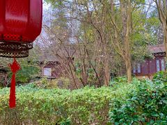 -咸宁万豪温泉谷度假区