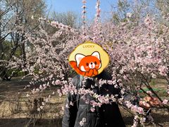 -碑林公园