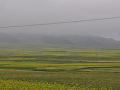 -扁都口生态休闲旅游区