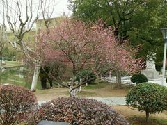 android_upload_pic-峙山公园
