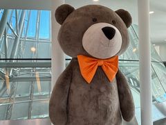 -济州岛泰迪熊博物馆