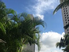 -新加坡文华东方酒店