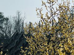 -报恩禅寺