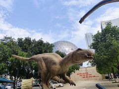 -陕西自然博物馆