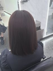 -YESIDO椰岛造型
