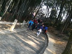 -灵岩山风景区