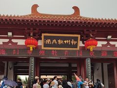 -神州牡丹园