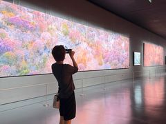 -罗红摄影艺术馆