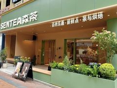 -森茶(湛江万达店)