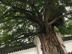 -墨池公园