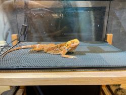 -酷嗒动物文化乐园(cutezoo西溪乐天城店)