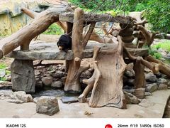 -北京野生动物园