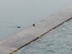 -黄河小浪底水利枢纽风景区