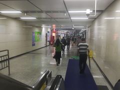 -大剧院(地铁站)