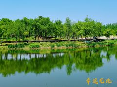 -东郊湿地公园