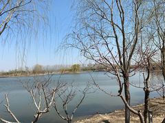 -东郊湿地公园