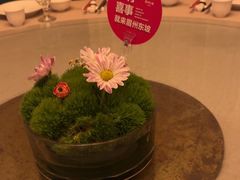 -眉州东坡(东坝店)