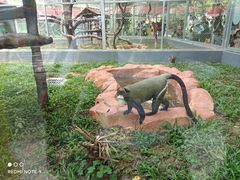 -深圳野生动物园