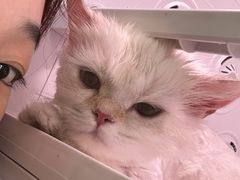 -拜鲁耶动物诊疗中心·宠家动物医院