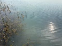 -苏州太湖湖滨国家湿地公园