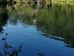 android_upload_pic-丹霞山风景名胜区