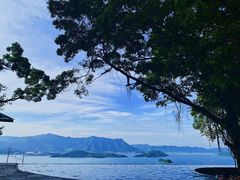 -大埔公路-马料水段香港中文大学(公交站)