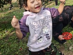 -北京市海淀区现代睿智融合幼儿园