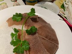 毛肚-潮火锅·麻辣牛肉火锅(观音桥方圆·LIVE店)