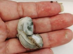 -澜悦港海鲜体验主题餐厅