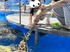 -泉城欧乐堡海洋极地世界