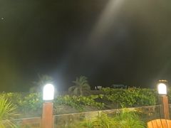 -渔家火锅·海鲜自助餐·演艺(亚龙湾天域酒店)