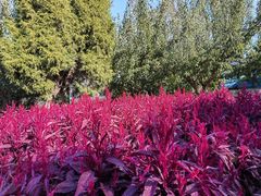 -秦皇岛野生动物园