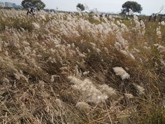 -赛汗塔拉风情园