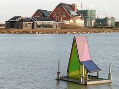 -荷兰花海