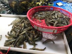 -三旗百汇商品城