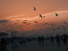 -东港音乐喷泉广场