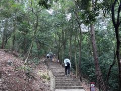 -岳麓山风景名胜区
