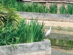 -龙潭水乡
