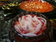 -蜀辣居鲜货老火锅(红牌楼店)