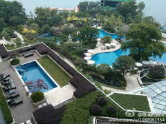 android_upload_pic-绿城千岛湖喜来登度假酒店