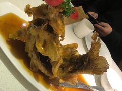 糖醋鲤鱼-闫府私房菜·百年鲁菜(恒隆店)