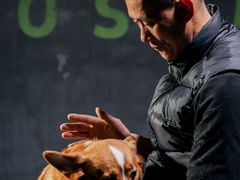 -Stud CrossFit(泰丰大厦店)