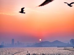 -香宫中餐厅·大连香格里拉(人民路店)