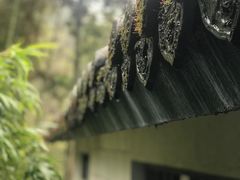 -井冈山风景名胜区