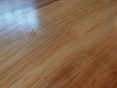 -全牛匠·乐山跷脚牛肉(新中关店)