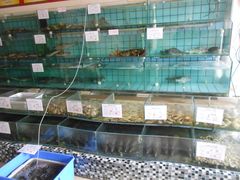 水产区-海岛渔村大酒店(云霄路店)