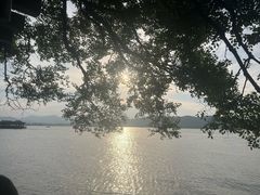 -西湖外事游船(湖滨二公园外事游船码头)