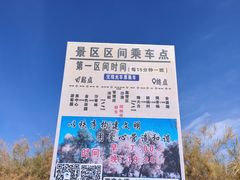 -金塔沙漠胡杨林景区