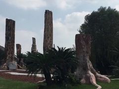 -南通洲际绿博园